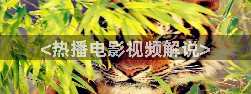 yy6090新视觉电视剧