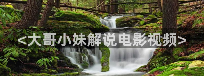 新视觉影院....：<大哥小妹解说电影视频>