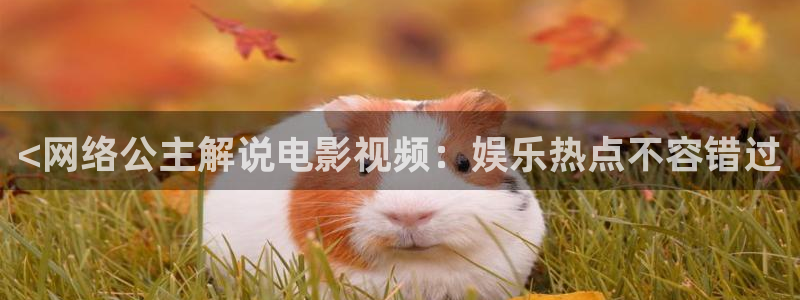 yy6080新视觉影院：<网络公主解说电影视频：娱乐热点不容错过