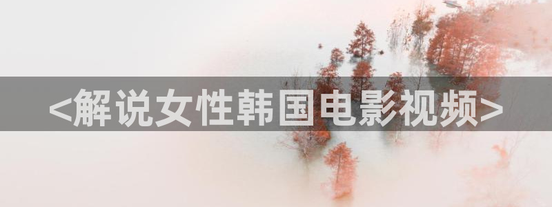 新视觉影：<解说女性韩国电影视频>
