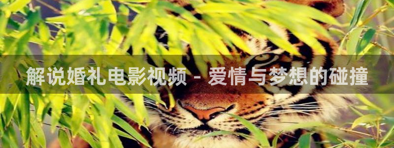 新视觉影视伦理