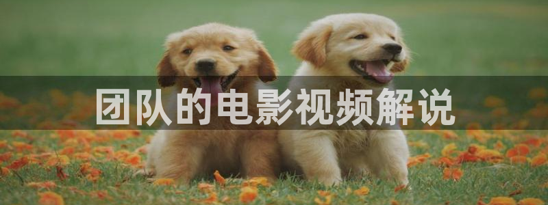 yy6090新视觉电视剧：团队的电影视频解说