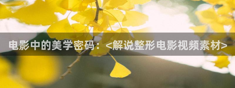 新视觉免费看剧长安乐：电影中的美学密码：<解说整形电影视频素材>