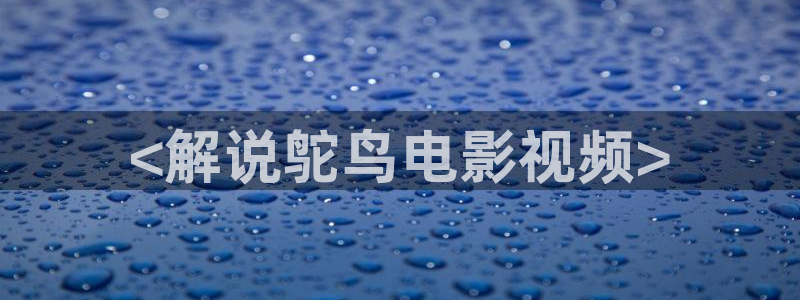 新视觉神马电影网：<解说鸵鸟电影视频>
