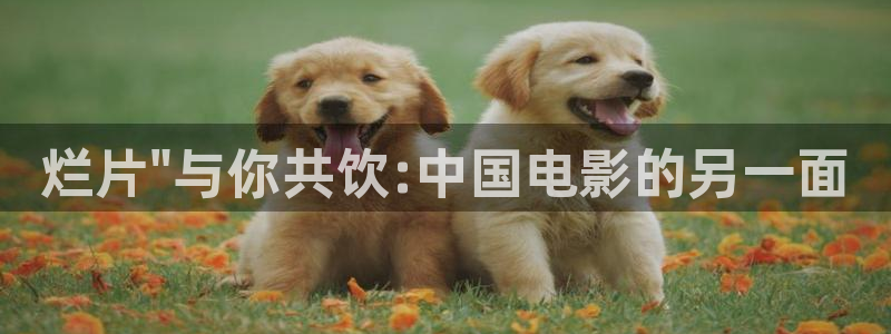 新视觉影视院：烂片\