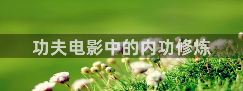 6080新视觉yy：功夫电影中的内功修炼
