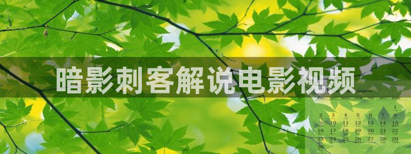 英超直播新视觉：暗影刺客解说电影视频