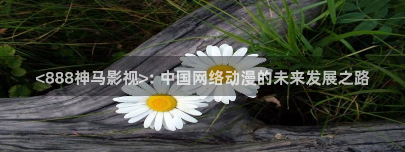 6080新视觉电影理