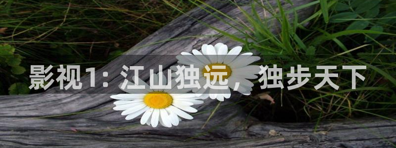 yy6090新视觉手机版本