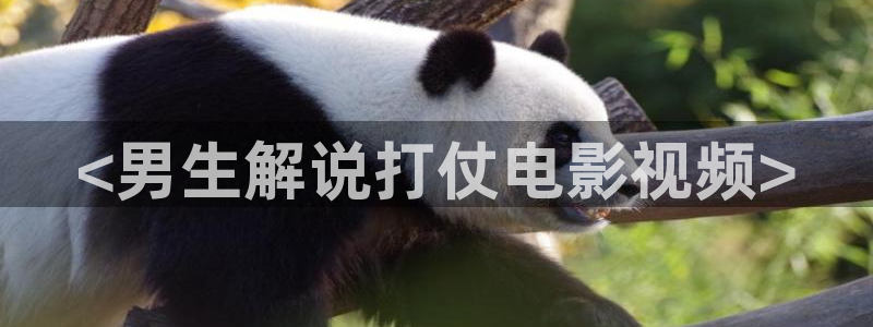 600800新视觉：<男生解说打仗电影视频>