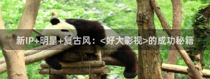 新视觉电视剧免费观看：新IP+明星+复古风：<好大影视>的成功秘籍