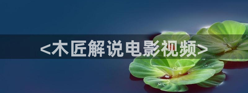 yy6080新视觉影视：<木匠解说电影视频>