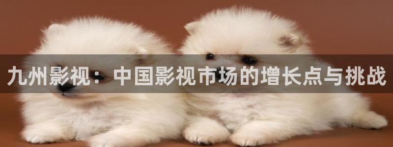 yy8090新视觉电视剧