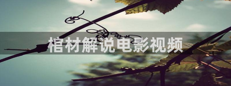新视觉影院伦理