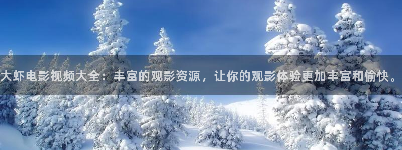 济南新视觉数码公司怎么样