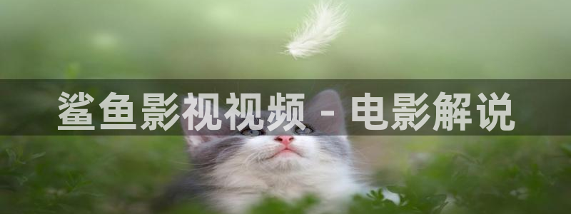 新视觉视频网站