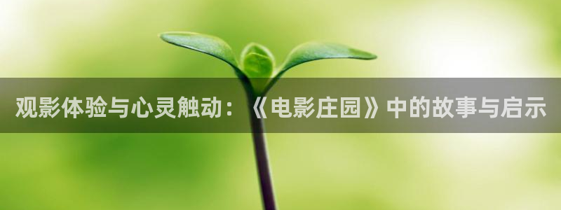 yy4480影院新视觉：观影体验与心灵触动：《电影庄园》中的故事与启示
