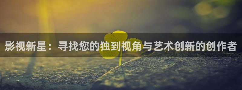 苏州新视觉：影视新星：寻找您的独到视角与艺术创新的创作者