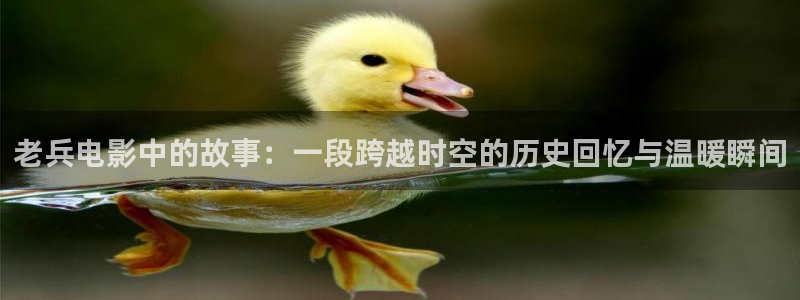 新视觉影院午夜电影：老兵电影中的故事：一段跨越时空的历史回忆与温暖瞬间