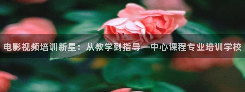 6080新视觉影院电视剧大全：电影视频培训新星：从教学到指导—中心课程专业培训学校