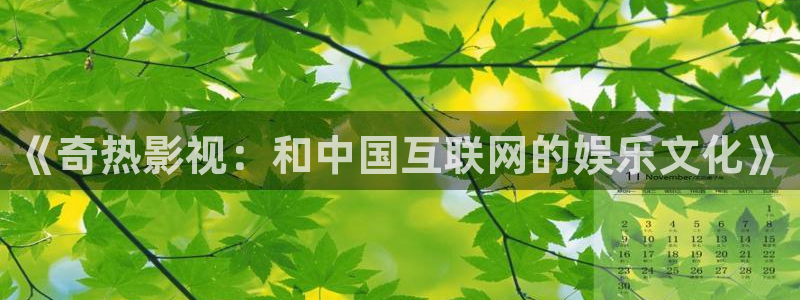 8086新视觉电影：《奇热影视：和中国互联网的娱乐文化》