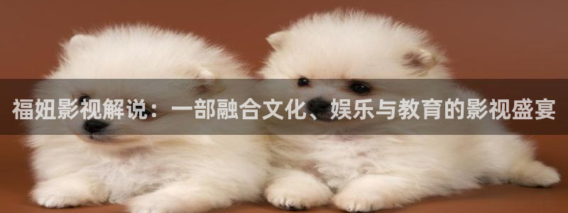 4138新视觉影院：福妞影视解说：一部融合文化、娱乐与教育的影视盛宴