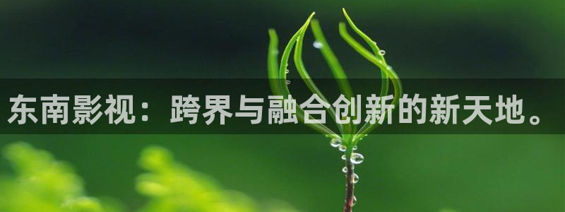 6080新视觉电影理论电视剧在线：东南影视：跨界与融合创新的新天地。