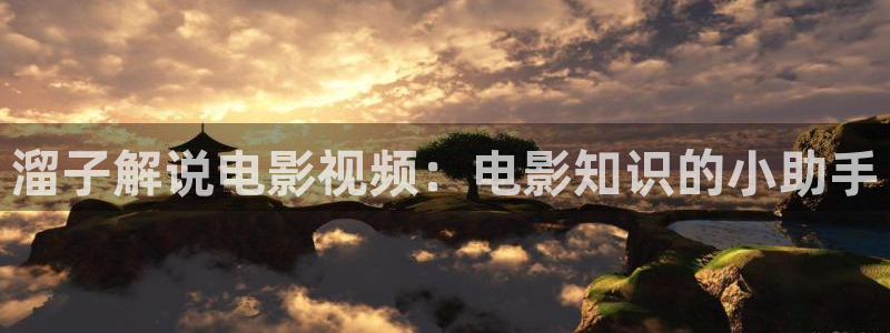 新视觉影院29：溜子解说电影视频：电影知识的小助手