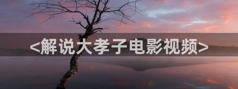 新视觉网站式影院：<解说大孝子电影视频>