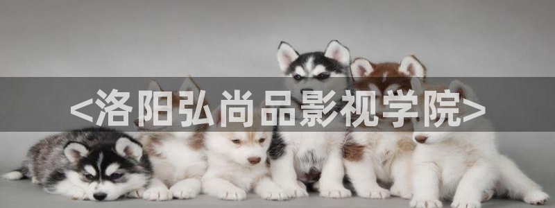 8050新视觉影院：<洛阳弘尚品影视学院>
