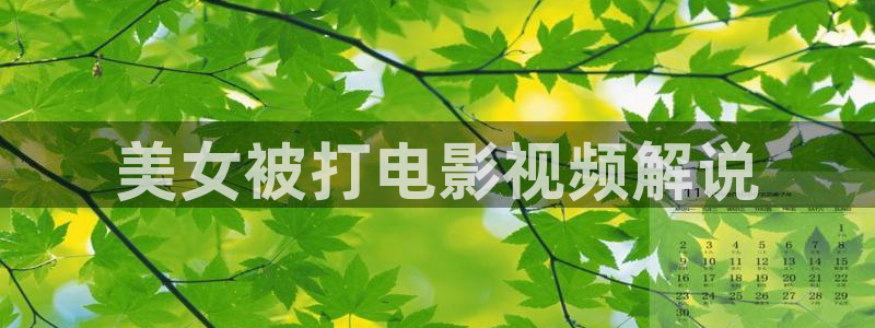 新视觉6080伦理在线观看：美女被打电影视频解说