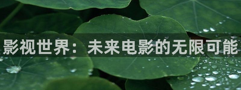 6090新视觉理论电视剧4410：影视世界：未来电影的无限可能