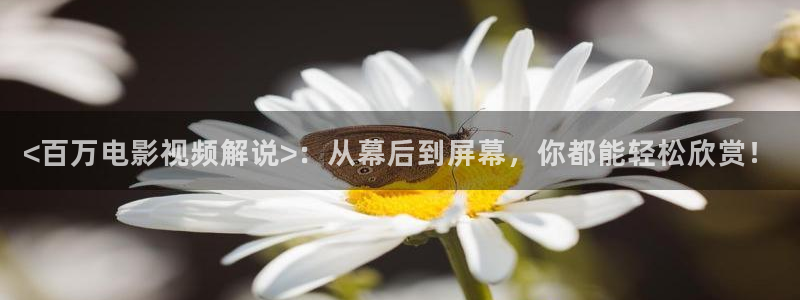 6029新视觉电影在线看免费：<百万电影视频解说>：从幕后到屏幕，你都能轻松欣赏！