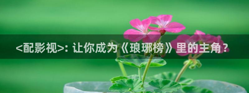 6090新视觉影视：<配影视>: 让你成为《琅琊榜》里的主角？