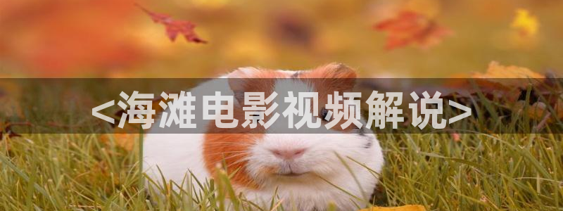 6080新视觉神马电影院：<海滩电影视频解说>