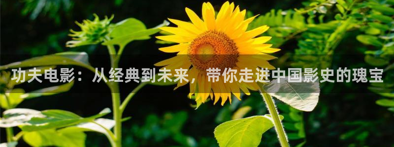 yy6080新视觉电影大全：功夫电影：从经典到未来，带你走进中国影史的瑰宝
