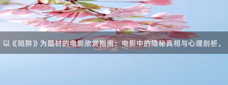 新视觉培训机构：以《陷阱》为题材的电影欣赏指南：电影中的隐秘真相与心理剖析。