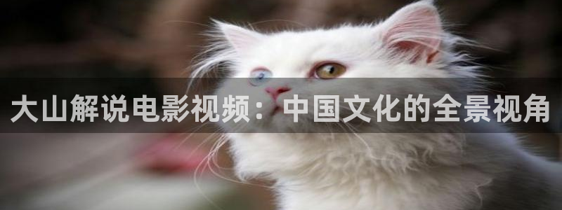 92yyc新视觉影院：大山解说电影视频：中国文化的全景视角