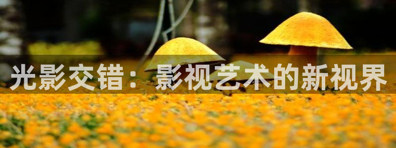 6080新视觉影音：光影交错：影视艺术的新视界