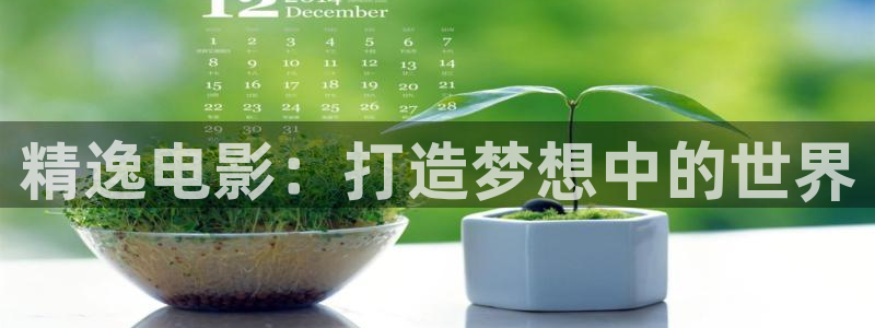 新视觉影院电影免费：精逸电影：打造梦想中的世界