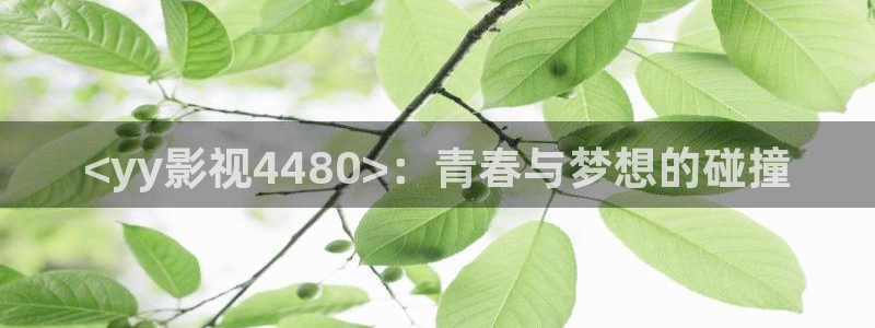 新视觉传艺培训学校：<yy影视4480>：青春与梦想的碰撞
