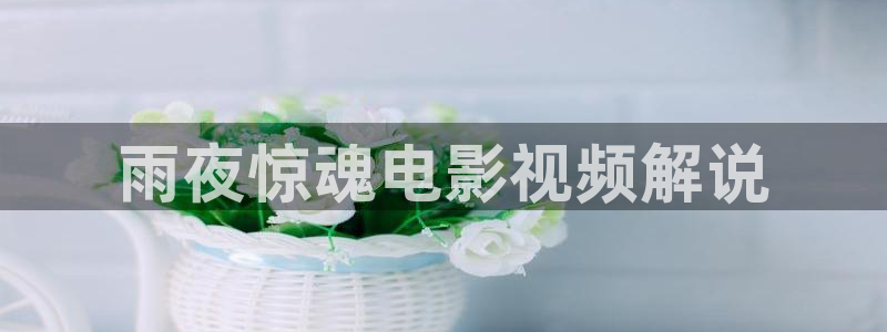 6080新视觉窝窝：雨夜惊魂电影视频解说