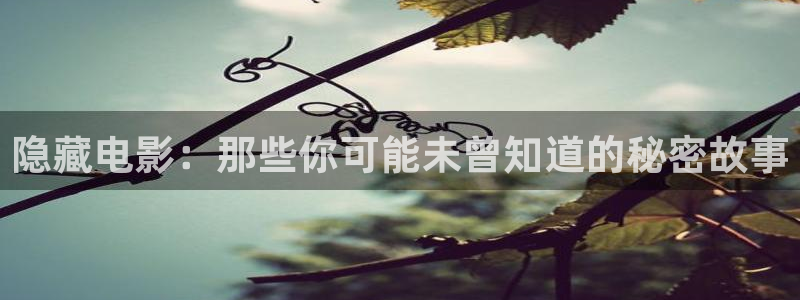 新6080新视觉影院电视剧：隐藏电影：那些你可能未曾知道的秘密故事