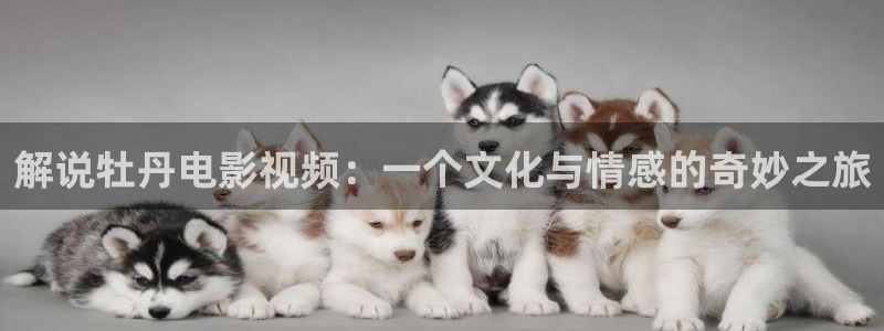 新视觉三级：解说牡丹电影视频：一个文化与情感的奇妙之旅