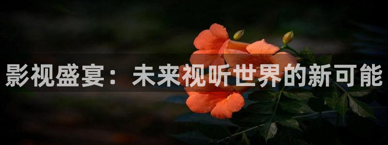 92yy新视觉：影视盛宴：未来视听世界的新可能
