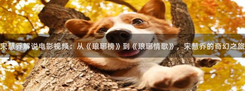 6080新视觉伦理免费电影：宋慧乔解说电影视频：从《琅琊榜》到《琅琊情歌》，宋慧乔的奇幻之旅