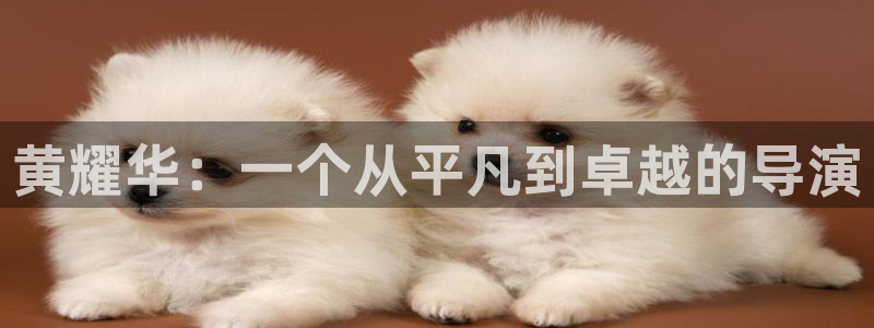 yy6080新视觉高清影视影院：黄耀华：一个从平凡到卓越的导演