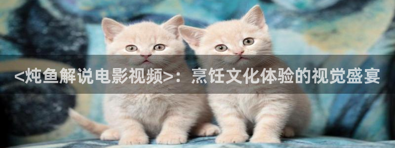 湖州新视觉影城：<炖鱼解说电影视频>：烹饪文化体验的视觉盛宴