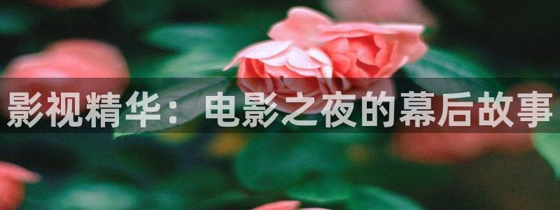 新视觉影院免费在线观看：影视精华：电影之夜的幕后故事