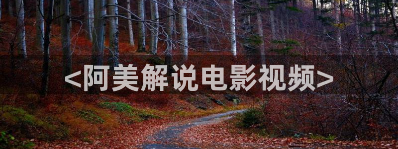 新视觉\'：<阿美解说电影视频>
